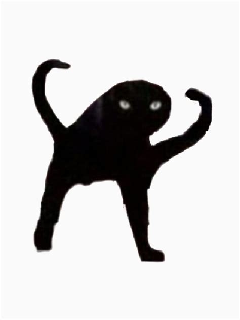 Black Cat Meme - IMAGESEE