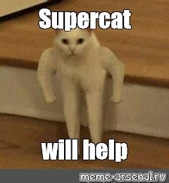 Meme: "Supercat will help" - All Templates - Meme-arsenal.com