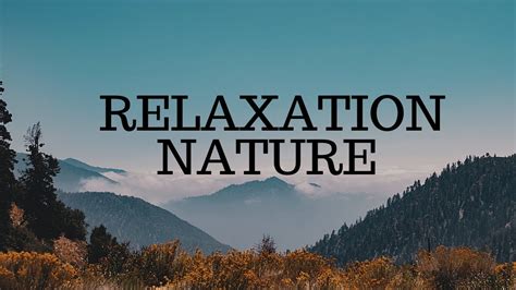 Musique Douce: Relaxante, Calme - Nature Relaxation - YouTube