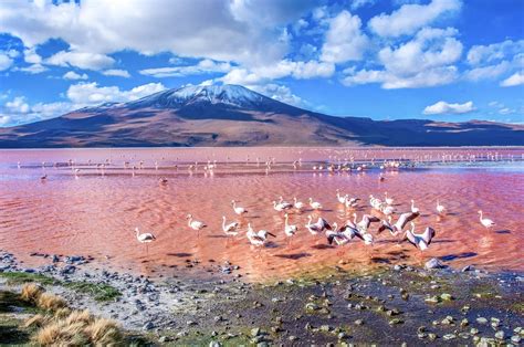 The Atacama Desert | One of The Driest Places on Earth