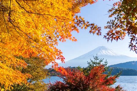 Lake Kawaguchi and Mount Fuji in Autumn — Stock Photo © leungchopan ...