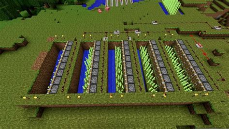 Minecraft: Automated Sugar Cane Farm [1.7 Pistons] - YouTube