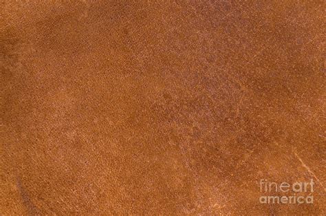 Brown Leather Texture Background Photograph by Angelo DeVal - Fine Art ...