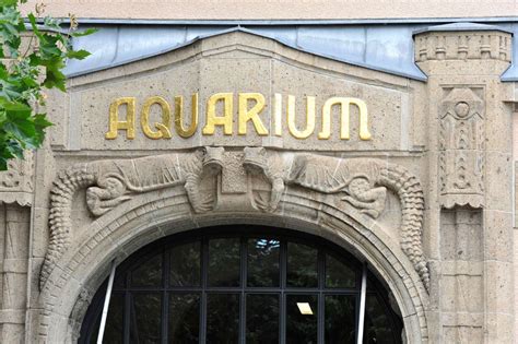 Aquarium Berlin (Berlin) - Visitor Information & Reviews