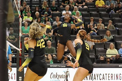 Oregon Ducks Volleyball Defeats Utah In Four Sets - Addicted To Quack