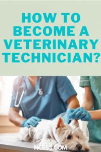 How to Become a Veterinary Technician? – Discovering Employment Paths ...