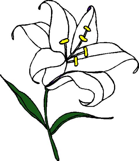 Free Easter Lily Cliparts, Download Free Easter Lily Cliparts png ...