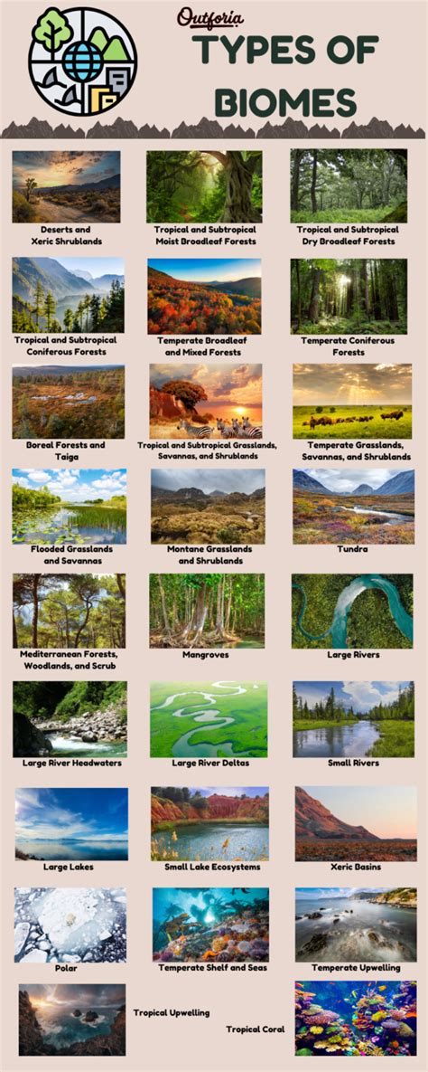 Unveiling Earth's Wonders: 26 Types of Biomes Explored