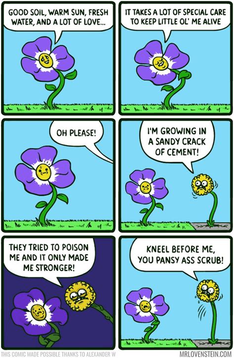 The best Flowers memes :) Memedroid