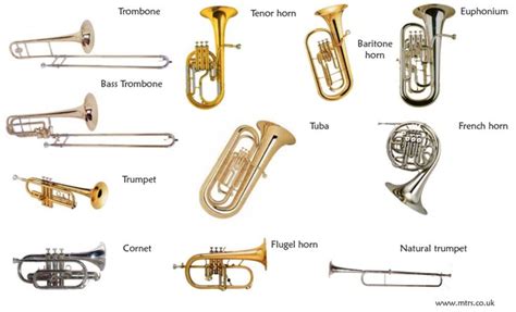 Image result for brass instruments names | Instrument families, Brass ...