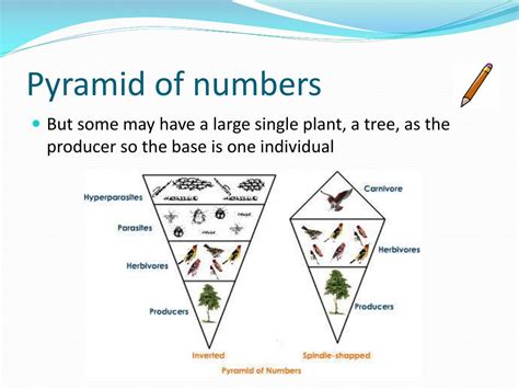 What Is A Numbers Pyramid