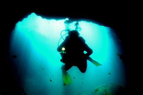 Paradise Springs Florida Spring & Cavern Dive | SCUBA Diving in Florida Info for All Divers