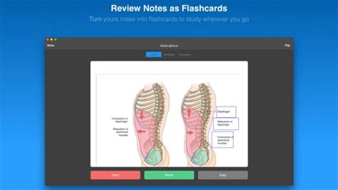 MarginNote: A brand new e-reader to better study and digest your books | AlternativeTo