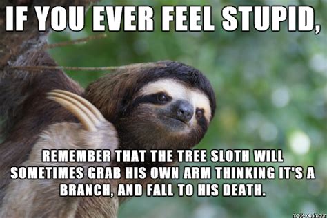 20 Seriously Hilarious Sloth Memes To Make Your Day Better | Sloth ...