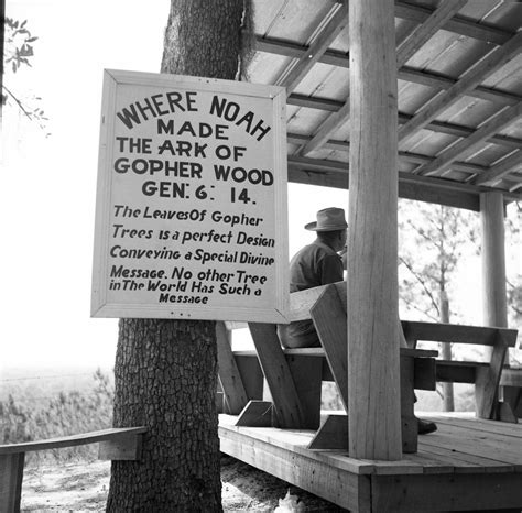 Florida Memory • Gopher wood tree at the Garden of Eden near Bristol