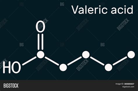 Valeric Acid Structure