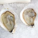 Oyster facts and health benefits