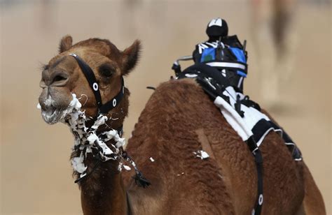 Toyeen B's World: Interesting Photos: Camel racing festival in UAE with Dubai Crown Prince in ...