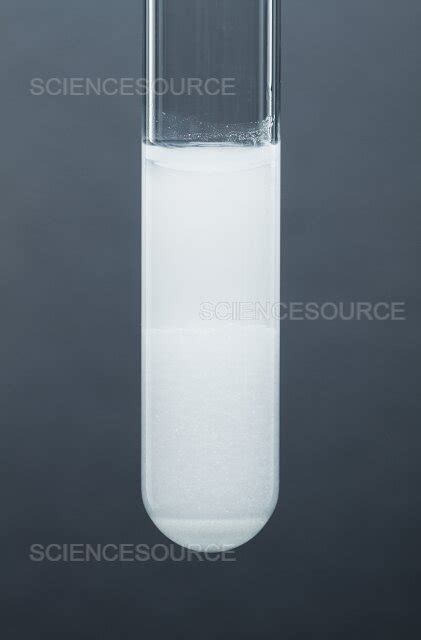 Photograph | Lead chloride precipitate | Science Source Images