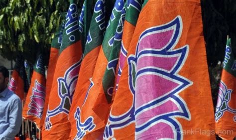 Bharatiya Janata Party Flag - RankFlags.com – Collection of Flags