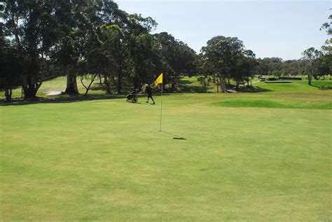 Caloundra Golf Club 11th Hole | Golf courses, Golf clubs, Caloundra