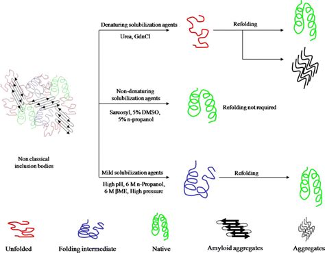 Model showing different solubilization methods used for recovery of ...