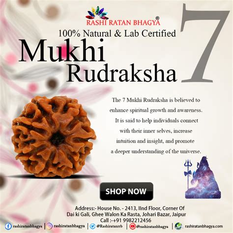 Wholesale 7 Mukhi Rudraksha Online At best price. | 7 Mukhi Rudraksha