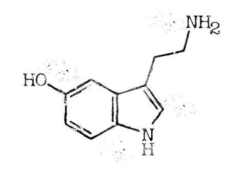 Serotonin Molecule 6 Digital Art by Erzebet S - Pixels