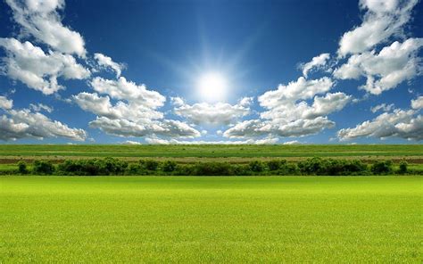 Green Grass, The Sun Shines Backgrounds For PowerPoint, green grass ...