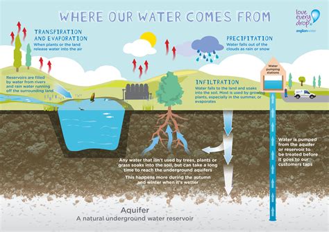 Our water resources