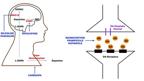 Pharmacology - PARKINSON'S DRUGS - YouTube