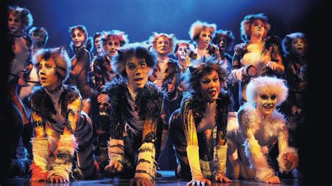 Cats Musical London Memory - Cats Family