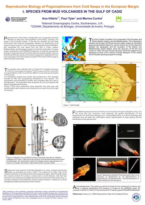 (PDF) Reproductive Biology of Pogonophorans from Cold Seeps in the ...