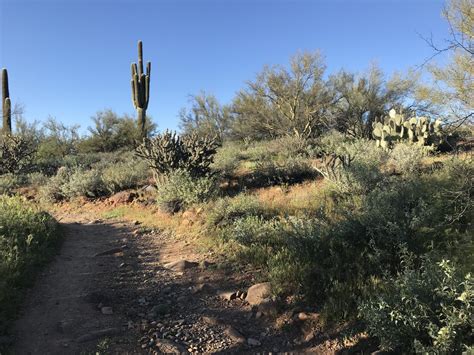 How to Enjoy a Few of the Best Hiking Trails in Phoenix - Wanderer Writes