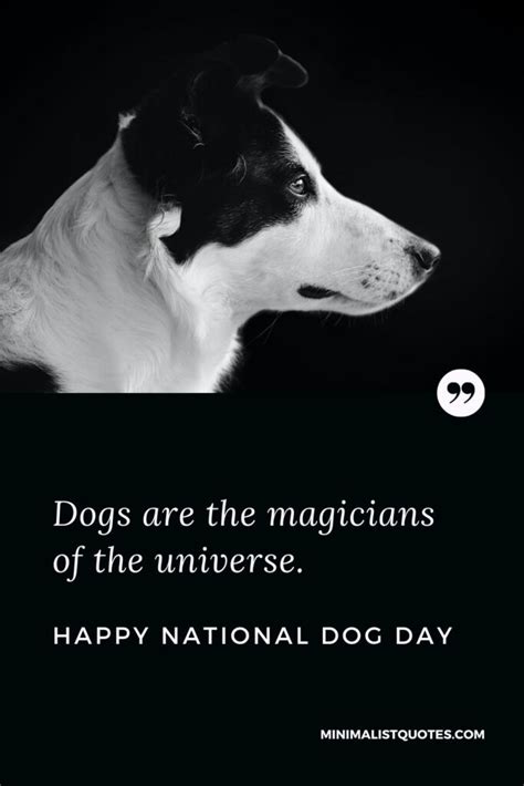 International Dog Day Quotes, Wishes & Messages