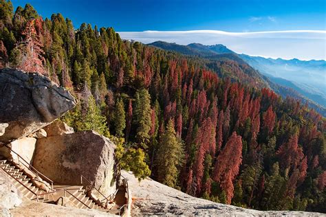 Autumn-sunrise-over-redwood-trees-at-Moro-Rock-in-Sequoia-National-Park ...