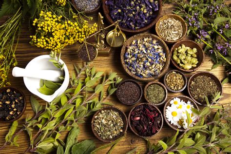 Pain Relieving Plants: What Herbs Are Best for Pain Relief? - Yellow Emperor