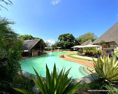 Mabula Game Lodge Review - In Africa and Beyond