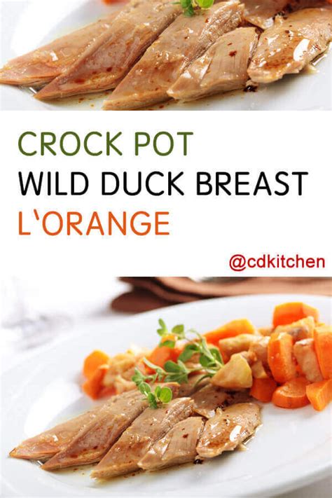 28+ Wild Duck Recipes Breast - SenadShabraz