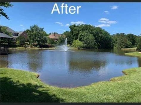 Pond Weed Removal - RealPro Aquatic Weed and Algae Removal