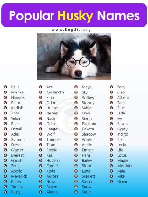 300+ Best Husky Names (Male, Female, Unique, Exotic) - EngDic