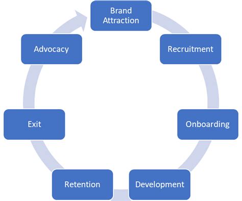 The Employee Lifecycle and it's 7 Stages | Qualtrics