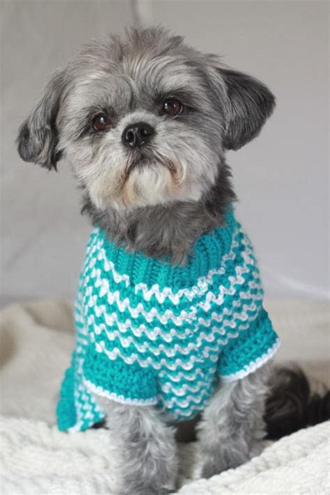 Free easy crochet dog sweater patterns for small dogs videos – Best Free Crochet Dog Sweater ...