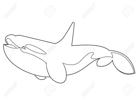 Whale Outline Drawing at GetDrawings | Free download