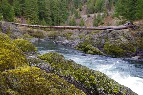 Clackamas River Trail Hike - Hiking in Portland, Oregon and Washington