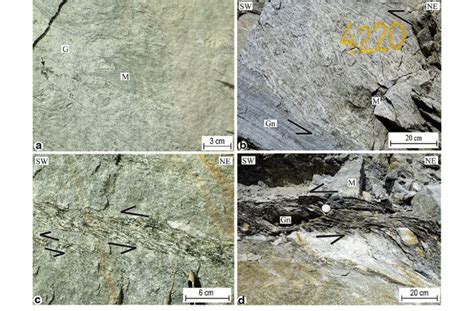 Typical examples of complex relationships between gneiss and migmatite... | Download Scientific ...