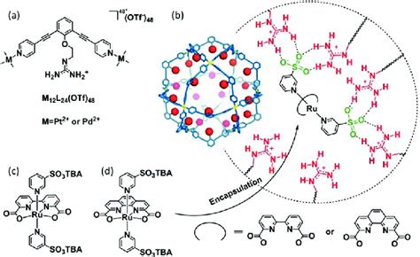 a) Molecular structures of the assembled guanidinium-functionalized... | Download Scientific Diagram