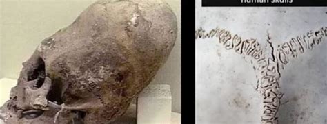 Prehistoric aliens in Malta? Hypogeum’s trove of elongated skulls to ...