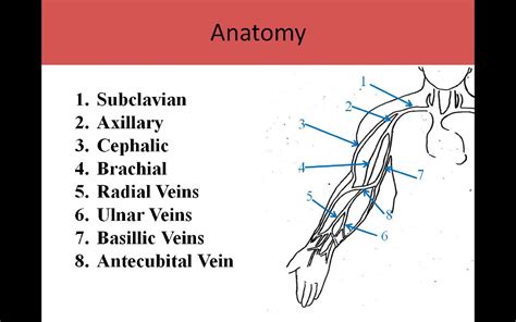 Ultrasound Registry Review - Extremity Venous