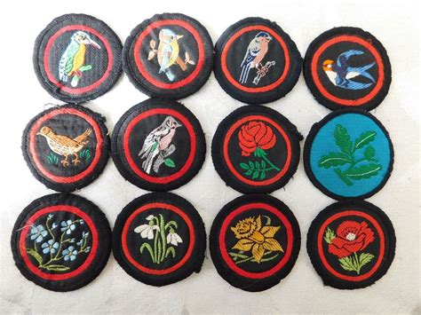 Lovely Vintage 12x Girl Guide Cloth Uniform Badge Patch lot 1 of 25 | eBay | Girl guides, Badge ...